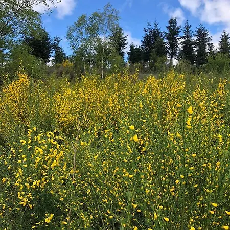 Haus Astenblick In Fuer Bis Zu 35 Personen Fuer Wanderveranstaltungen Und Familienfeiern Appartamento Winterberg