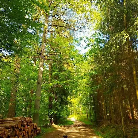 Haus Astenblick In Fuer Bis Zu 35 Personen Fuer Wanderveranstaltungen Und Familienfeiern *