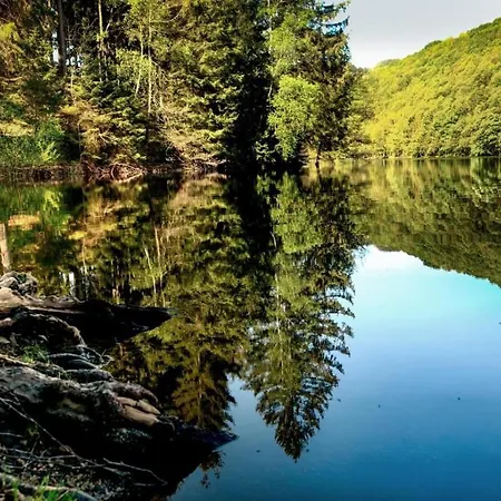Apartment Haus Astenblick In Fuer Bis Zu 35 Personen Fuer Wanderveranstaltungen Und Familienfeiern *