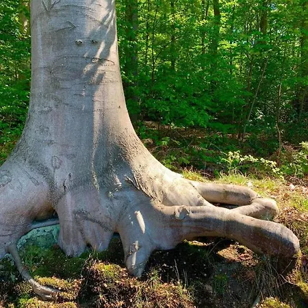 Haus Astenblick In Fuer Bis Zu 35 Personen Fuer Wanderveranstaltungen Und Familienfeiern