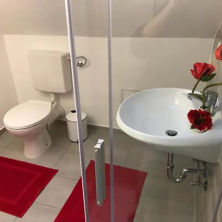 Haus Astenblick In Fuer Bis Zu 35 Personen Fuer Wanderveranstaltungen Und Familienfeiern Apartment