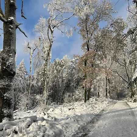 Haus Astenblick In Fuer Bis Zu 35 Personen Fuer Wanderveranstaltungen Und Familienfeiern