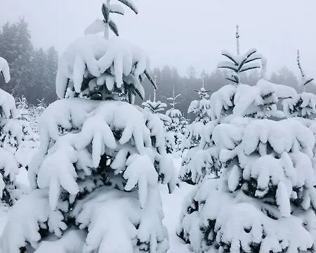 Haus Astenblick In Winterberg Wanderveranstaltungen, Firmen-Familienfeiern Bis 35 P * Βίντερμπεργκ