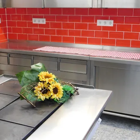 Haus Astenblick In Fuer Bis Zu 35 Personen Fuer Wanderveranstaltungen Und Familienfeiern Apartment Winterberg