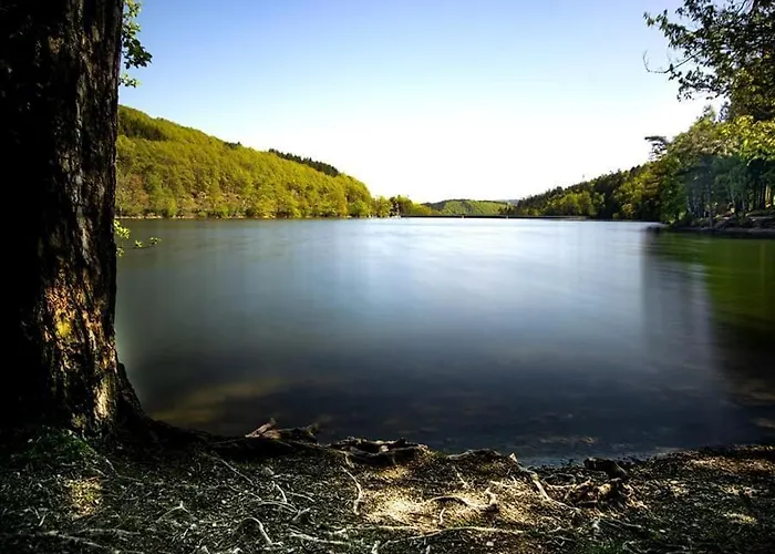 Haus Astenblick In Fuer Bis Zu 35 Personen Fuer Wanderveranstaltungen Und Familienfeiern Apartman Winterberg