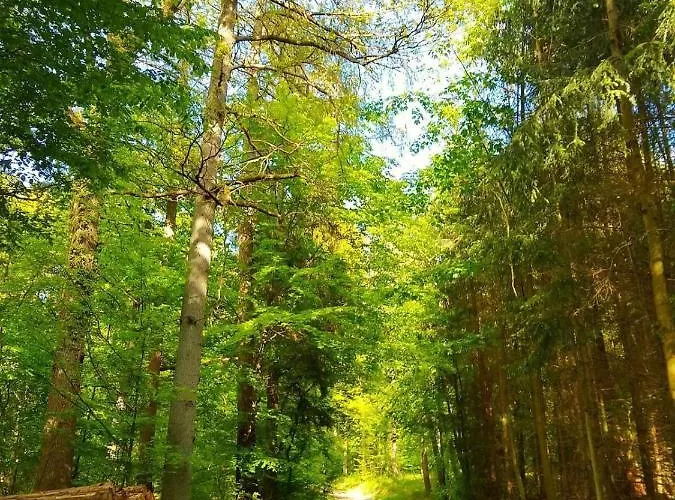 Haus Astenblick In Fuer Bis Zu 35 Personen Fuer Wanderveranstaltungen Und Familienfeiern *