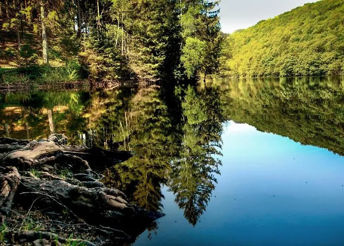 Apartman Haus Astenblick In Fuer Bis Zu 35 Personen Fuer Wanderveranstaltungen Und Familienfeiern *