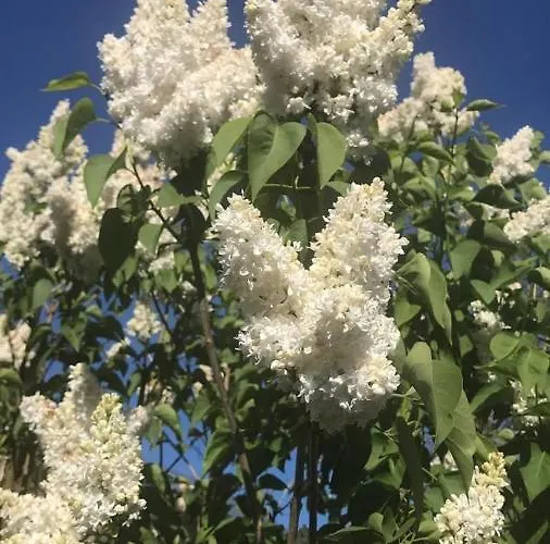 アパート Haus Astenblick In Fuer Bis Zu 35 Personen Fuer Wanderveranstaltungen Und Familienfeiern ヴィンターベルク