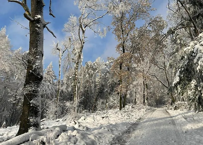 Haus Astenblick In Fuer Bis Zu 35 Personen Fuer Wanderveranstaltungen Und Familienfeiern
