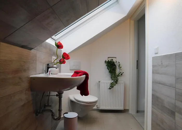 Haus Astenblick In Fuer Bis Zu 35 Personen Fuer Wanderveranstaltungen Und Familienfeiern